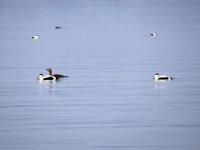 Nationalpark Ostsee