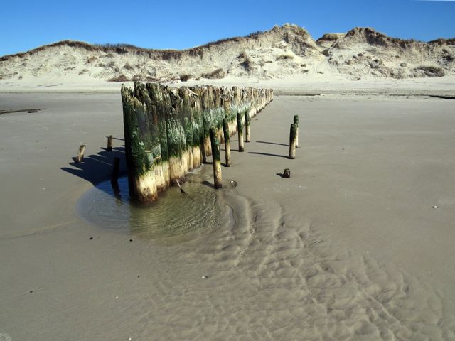 Ausgezeichnet: Das Wattenmeer ist der beste Nationalpark