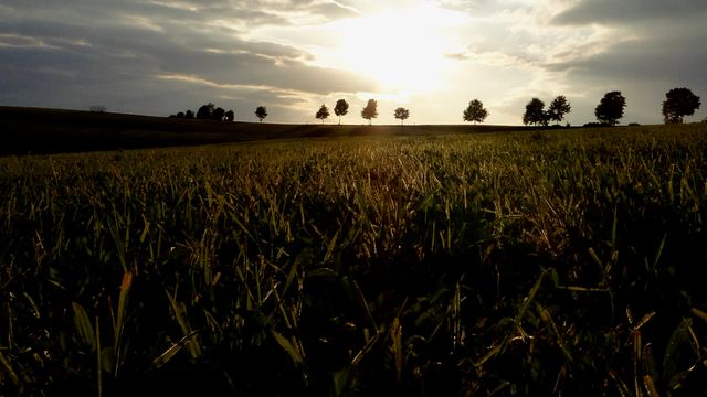 Landwirtschaft und Naturschutz können und müssen Hand in Hand gehen