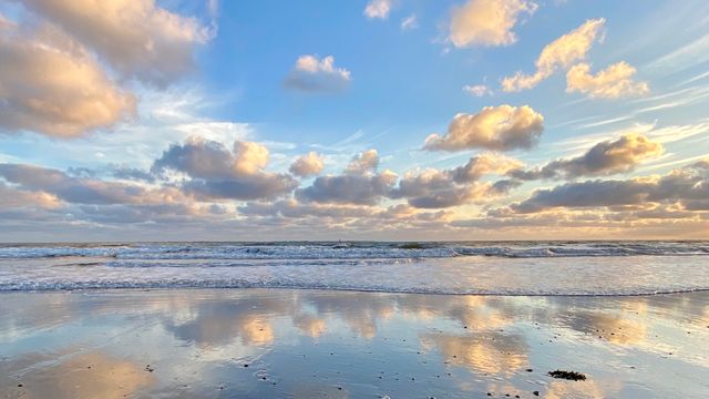 40 Jahre Nationalpark Schleswig-Holsteinisches Wattenmeer