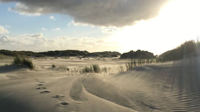 Ein Meilenstein für den Naturschutz in Deutschland