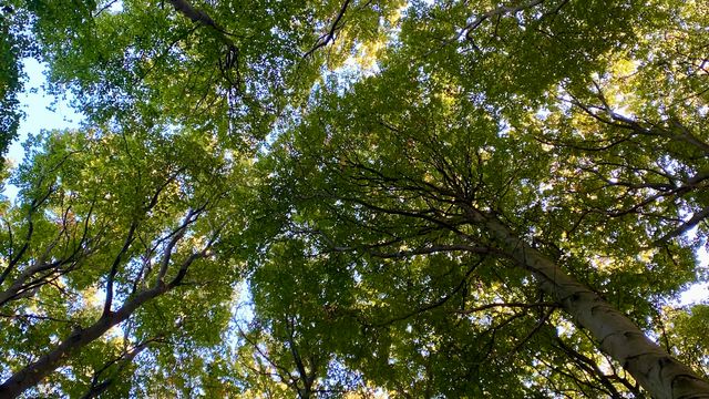 Naturschutz-Booster für Schleswig-Holstein – Mehr als 1000 Hektar neue Naturschutzgebiete