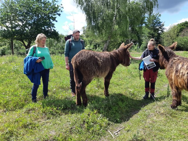 Unterwegs im Naturpark Westensee